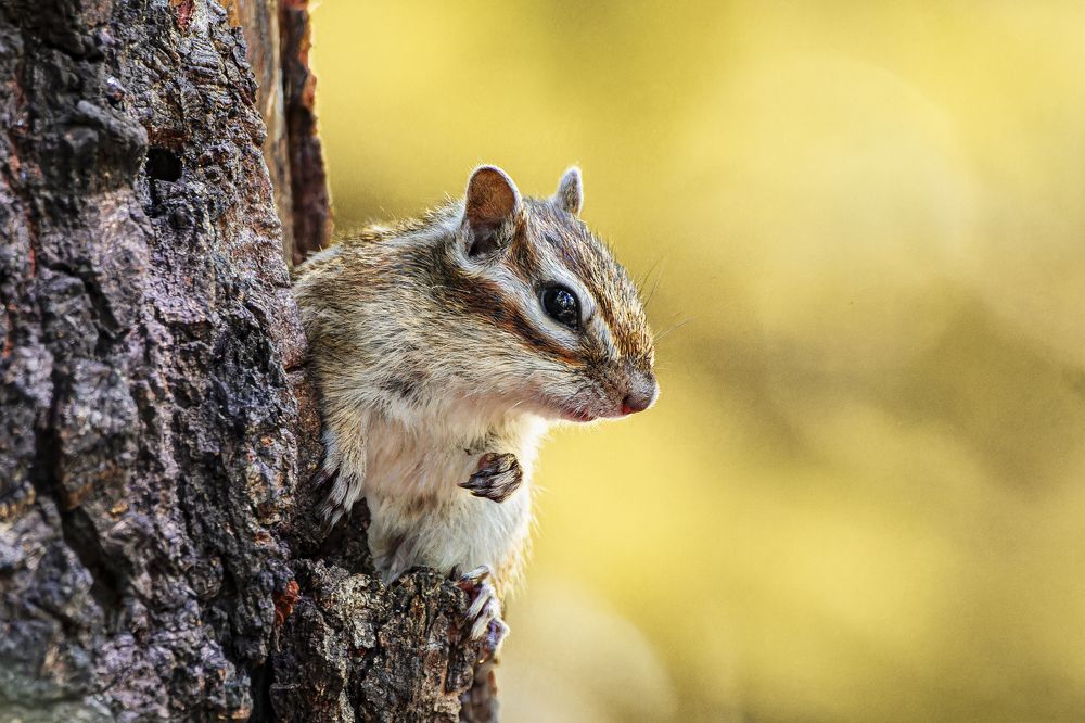 Photograph by Светлана Барабанщикова