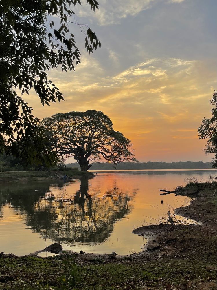 Photograph by Disara Seneviratne