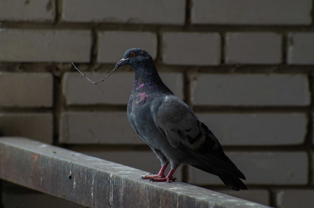 Photograph by Иван Матвеев