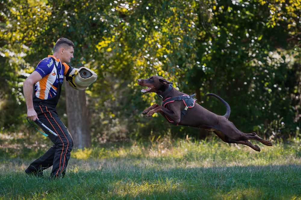 Photograph by Олег Гаричкин