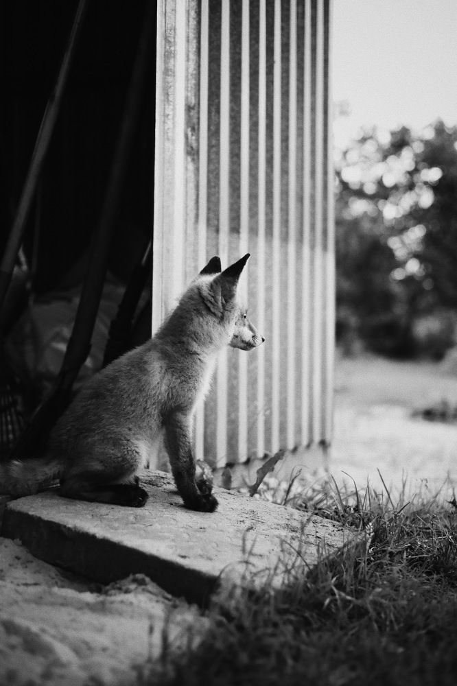 Photograph by Лидия Блохина