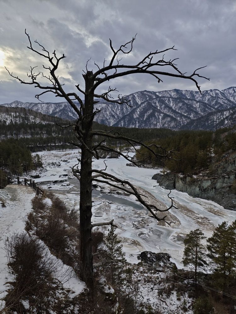 Photograph by Анастасия Филатова