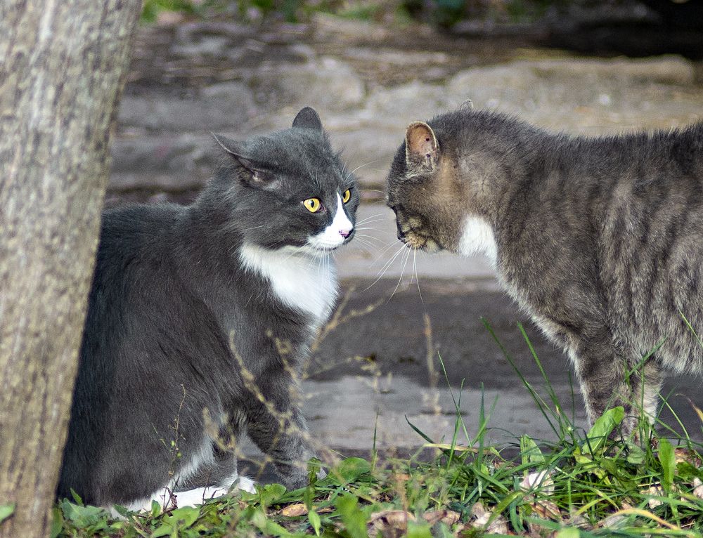 Photograph by Игорь Зиновьев