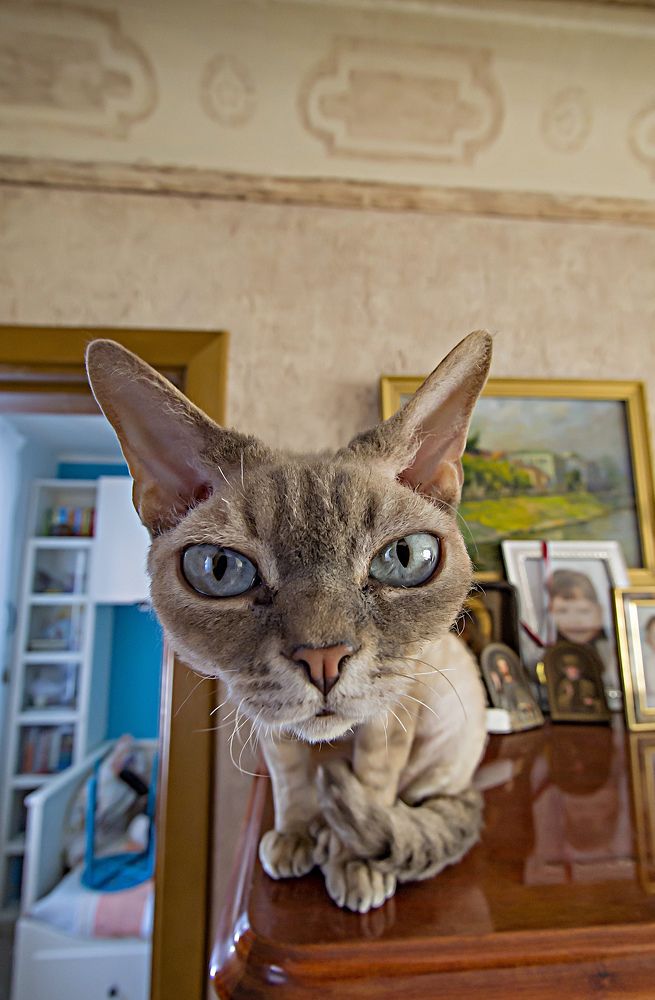 Photograph by Игорь Зиновьев