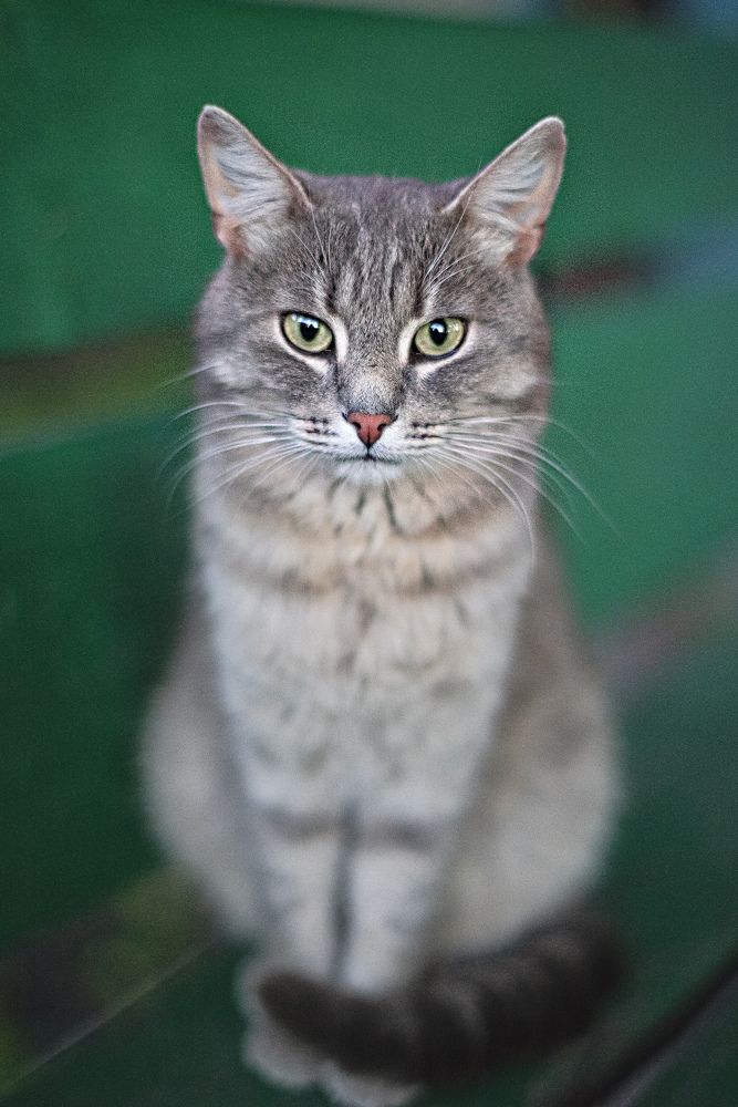 Photograph by Игорь Зиновьев