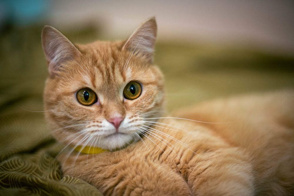 Photograph by Роман Игошин