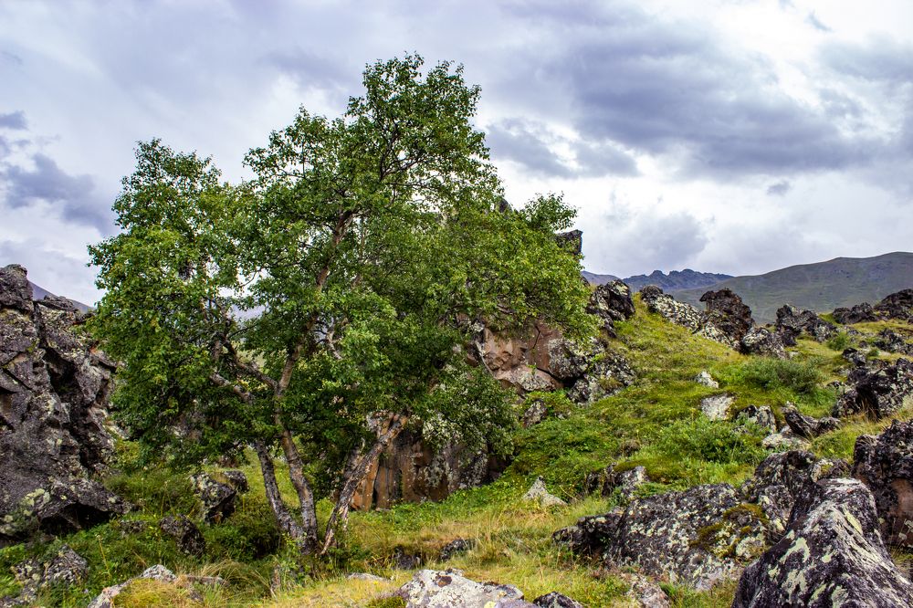 Photograph by Роман Якута