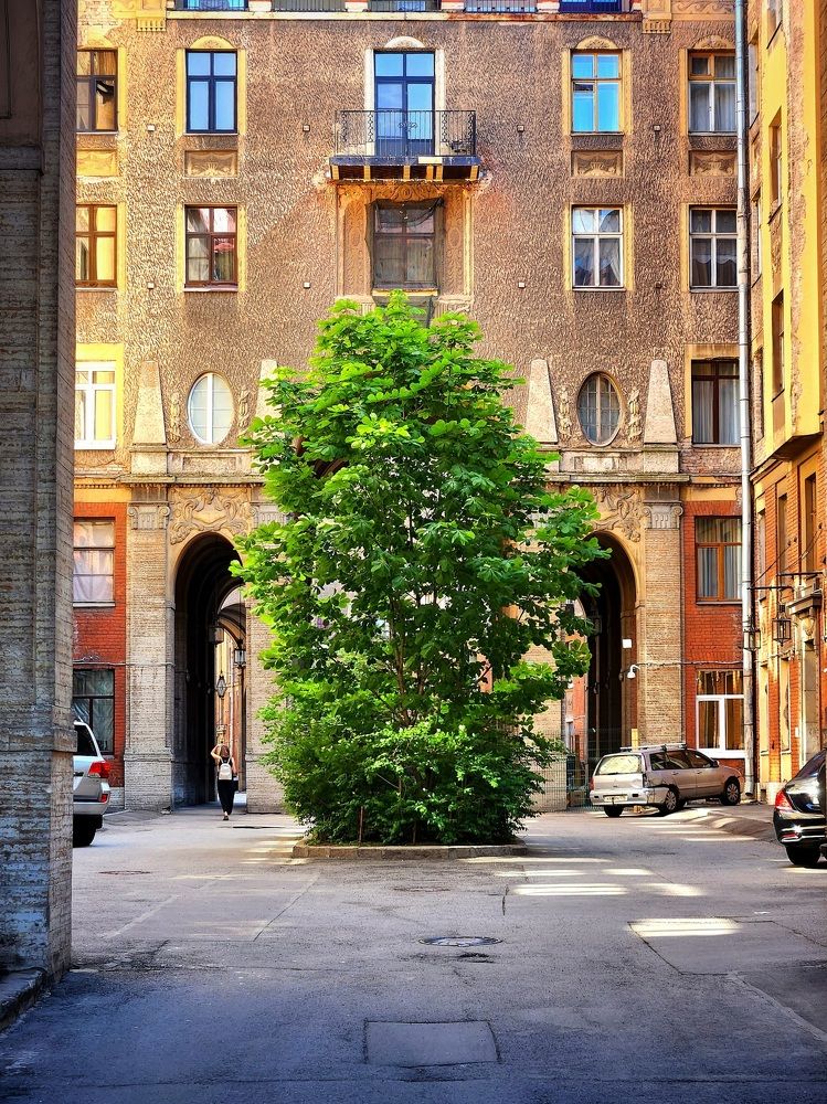 Photograph by Дмитрий Хорошилов