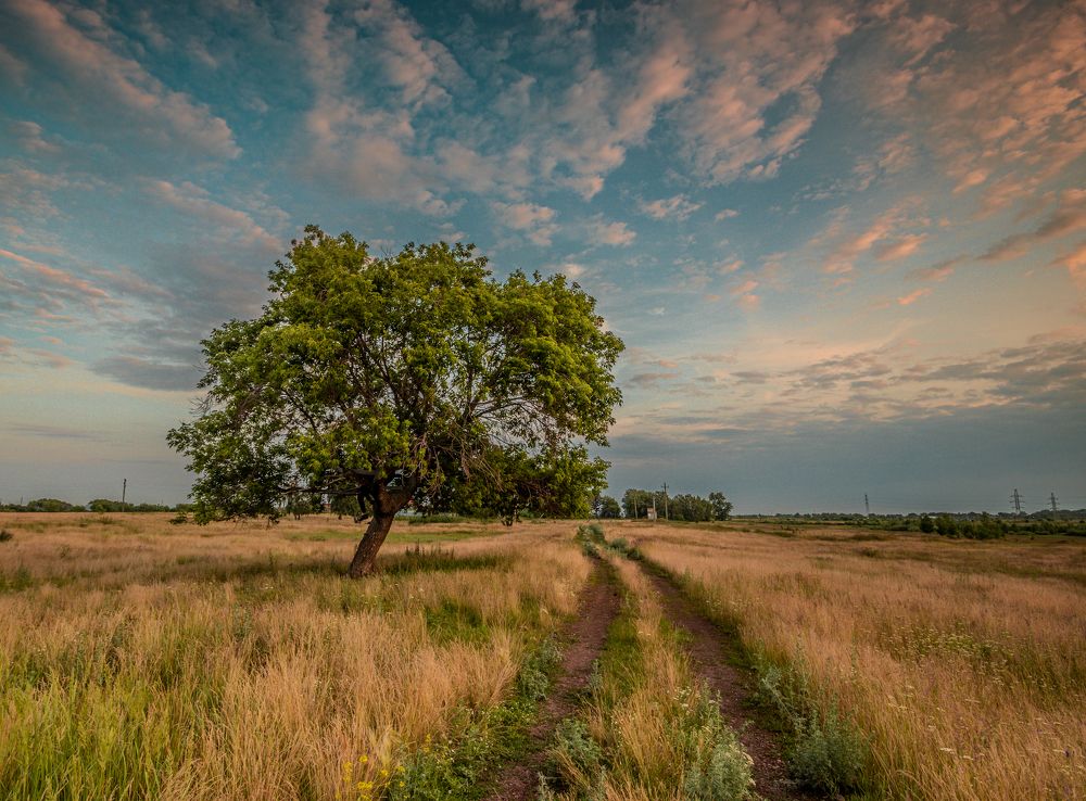 Фотография автора 