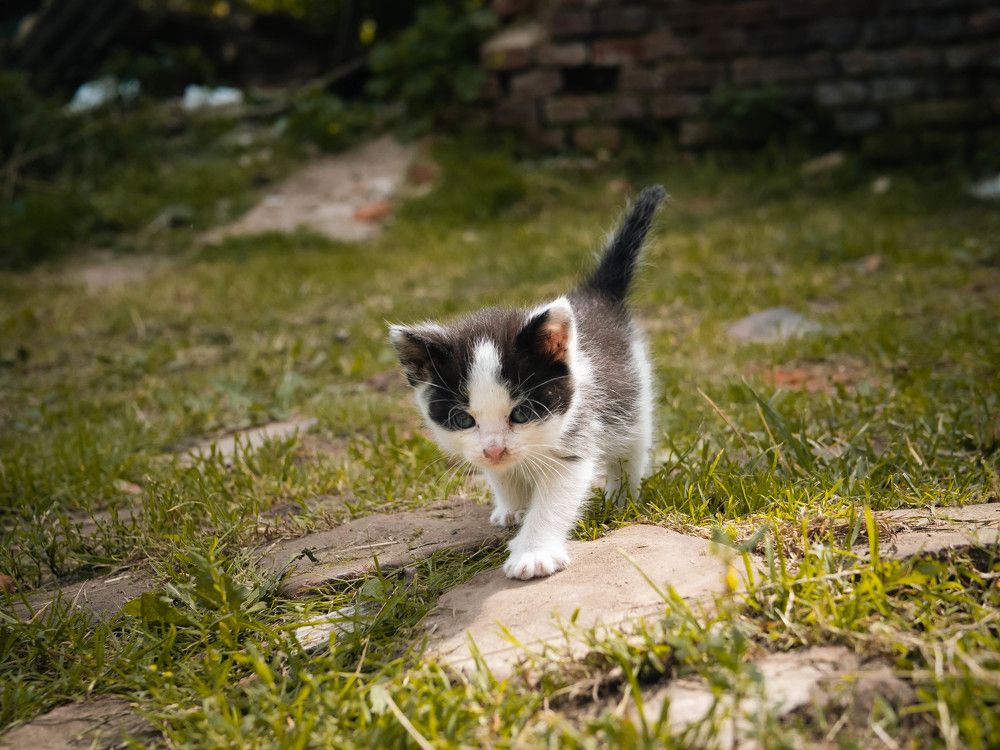 Photograph by Роман Суковач