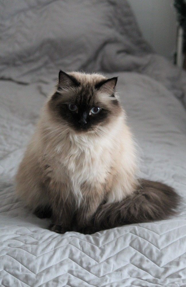 Photograph by Наталья Резванова