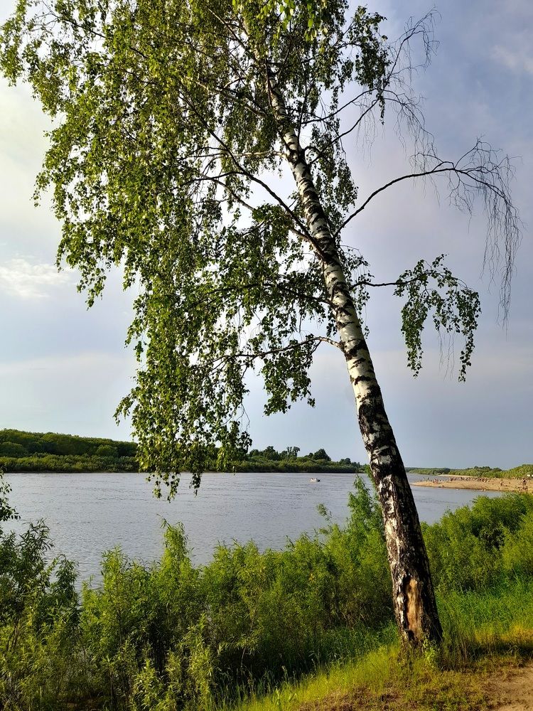 Photograph by Ольга Березовская