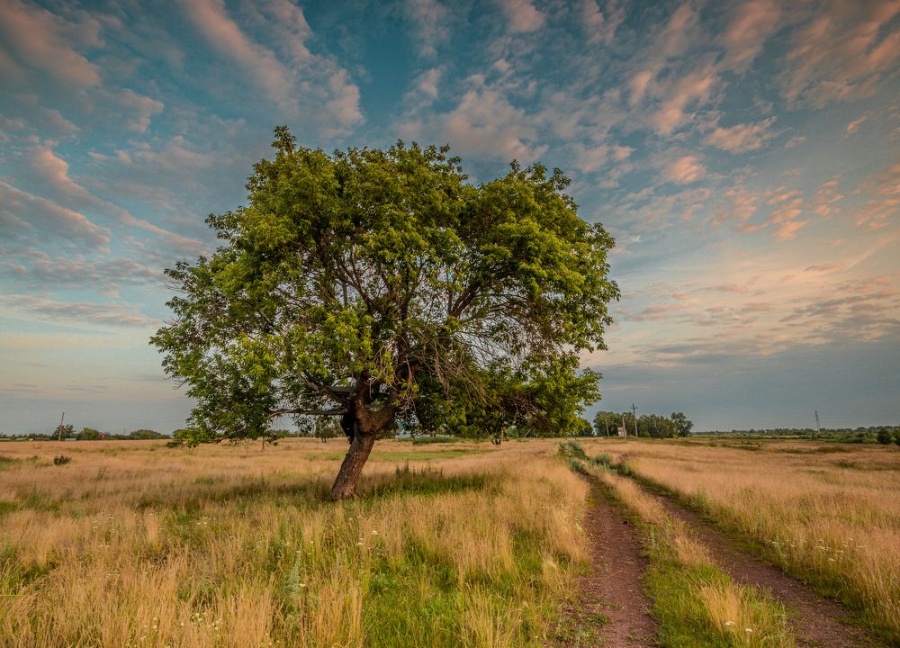 Фотография автора 