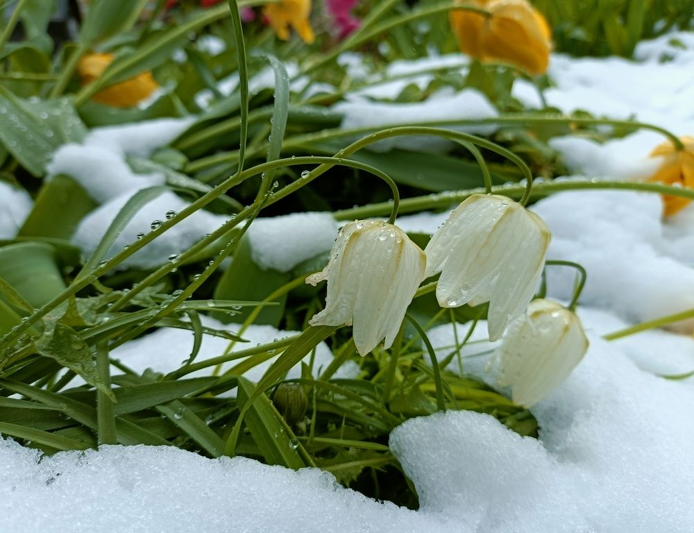 Фотография автора Татьяна Лука
