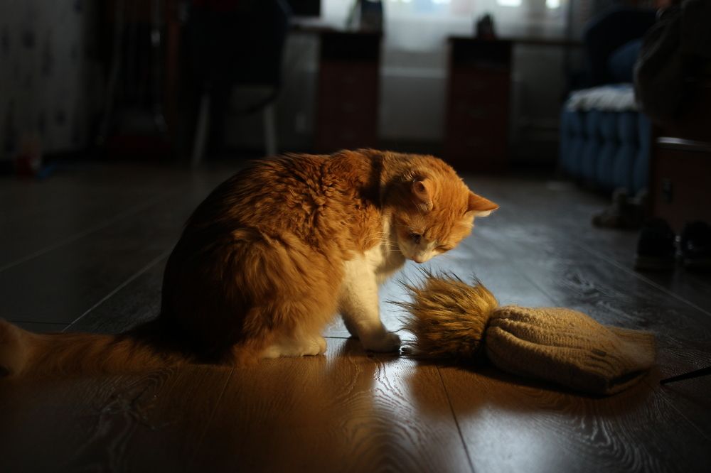 Photograph by Наталья Преснякова