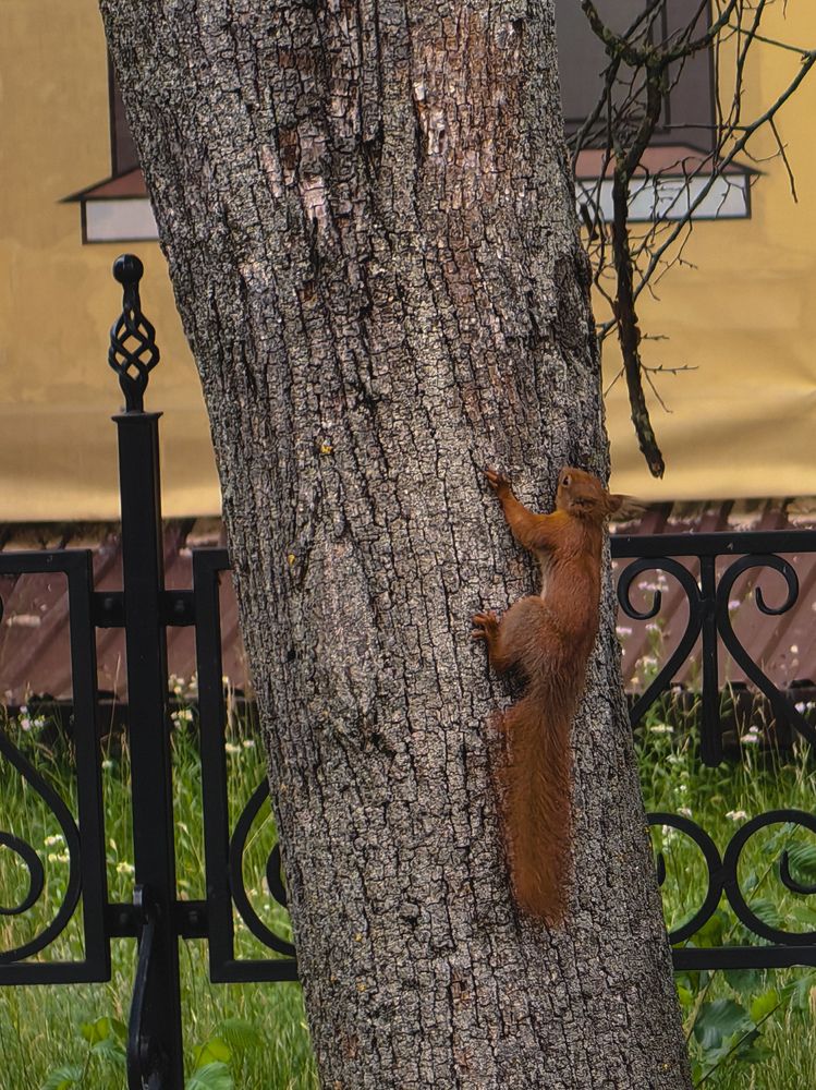 Фотография автора Ольга Панасюк