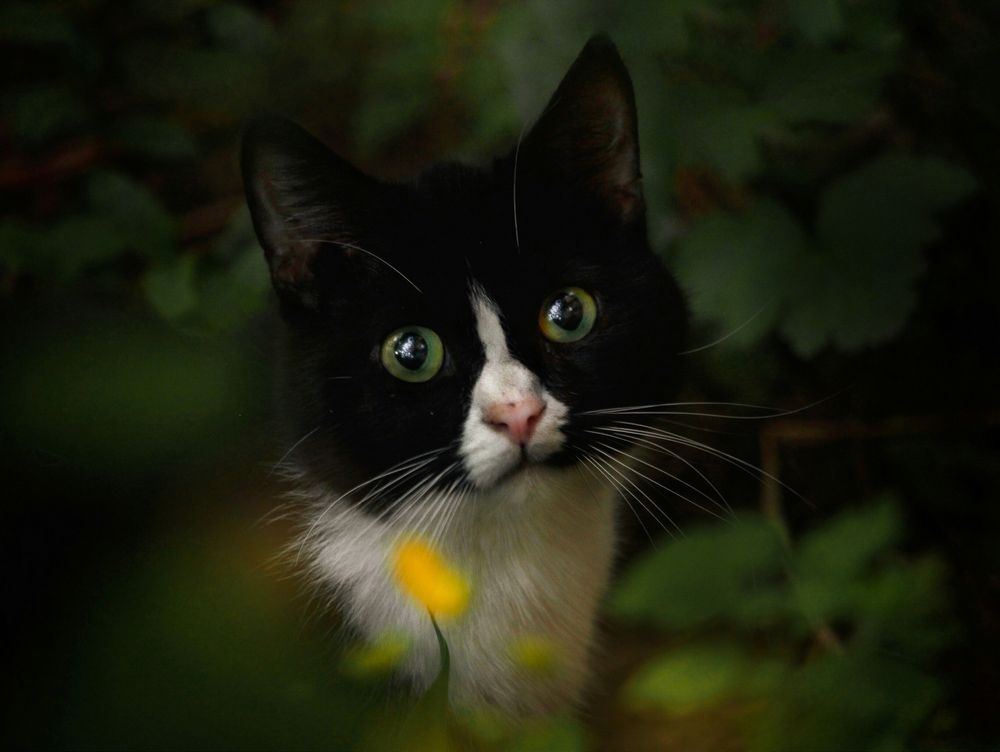 Photograph by Элина Абакумова