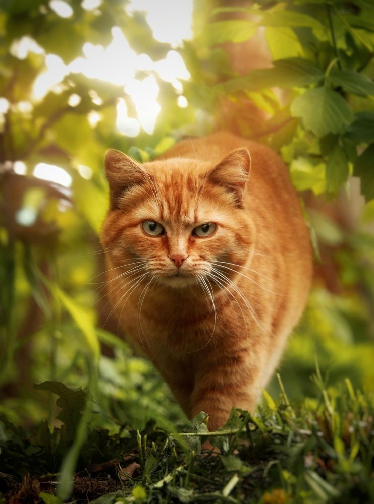 Photograph by Элина Абакумова