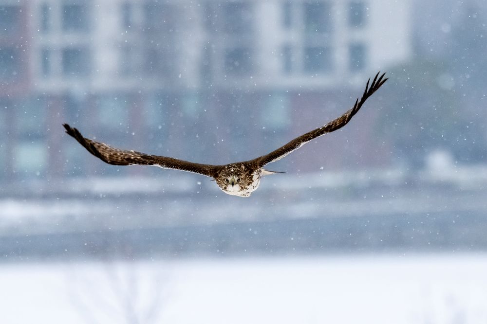 Photograph by Zhenhuan Zhou