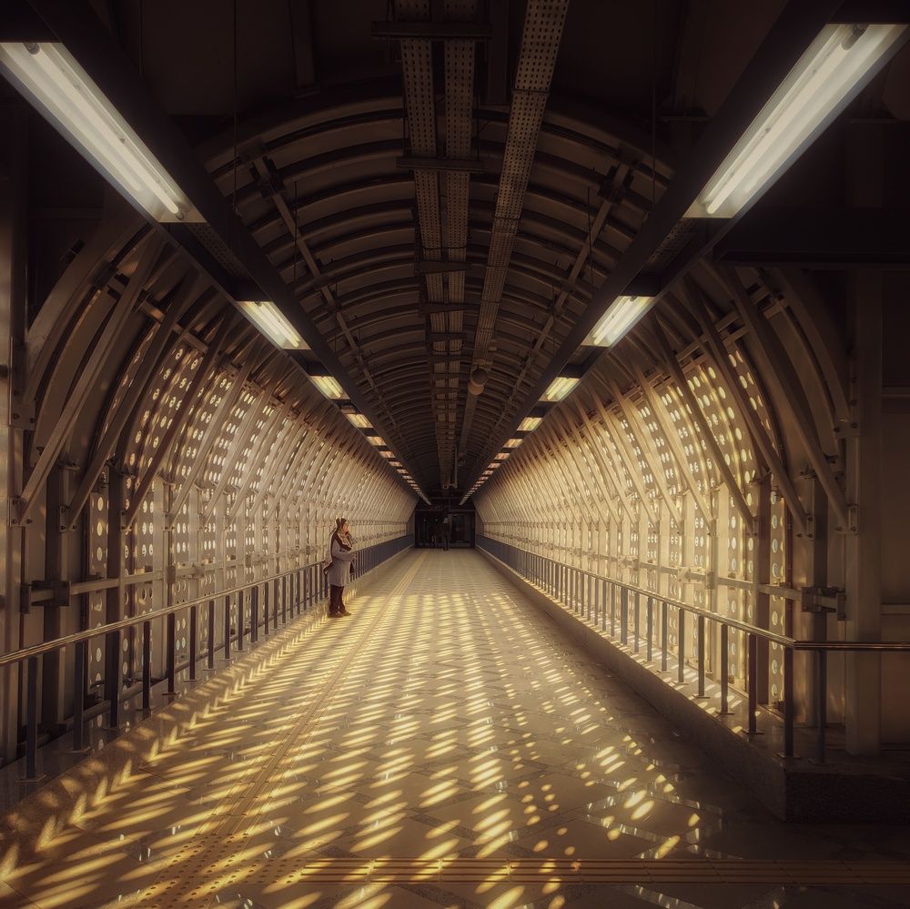 Photograph by Moamen Khaled