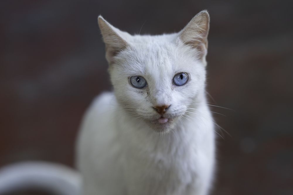 Photograph by Arismendy Ferreras