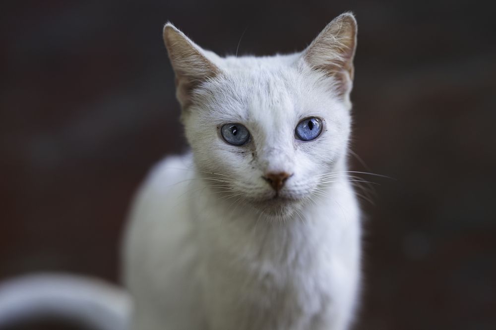 Photograph by Arismendy Ferreras