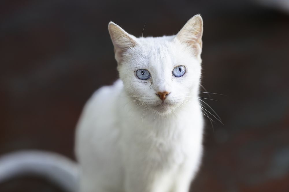 Photograph by Arismendy Ferreras