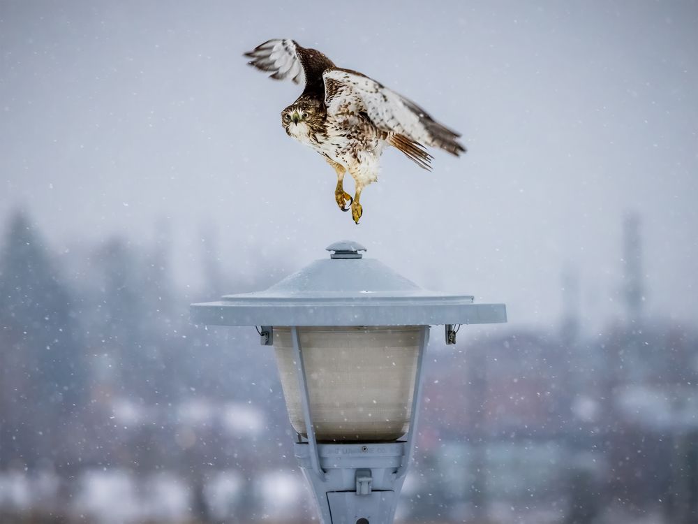 Photograph by Zhenhuan Zhou