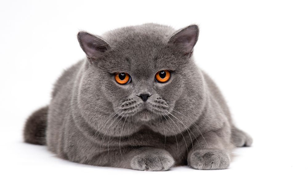 Photograph by Yuri Boichenko