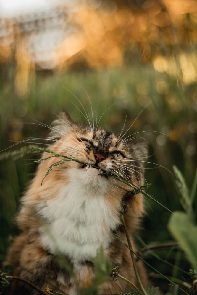 Фотография автора Анастасия