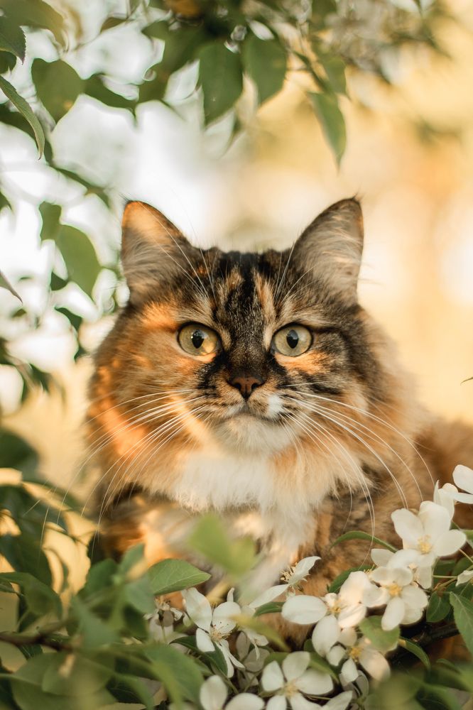 Фотография автора Анастасия