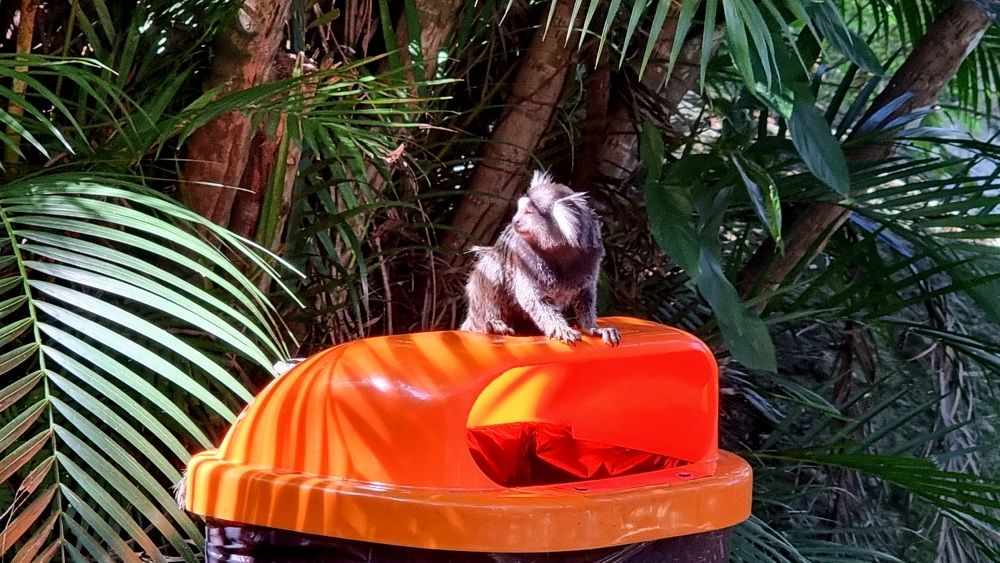 Photograph by Marie G