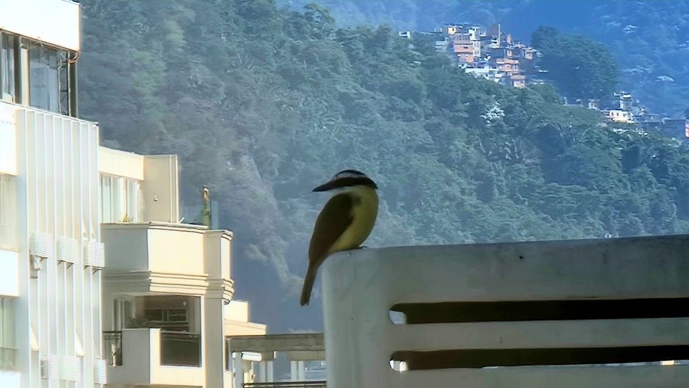 Photograph by Marie G