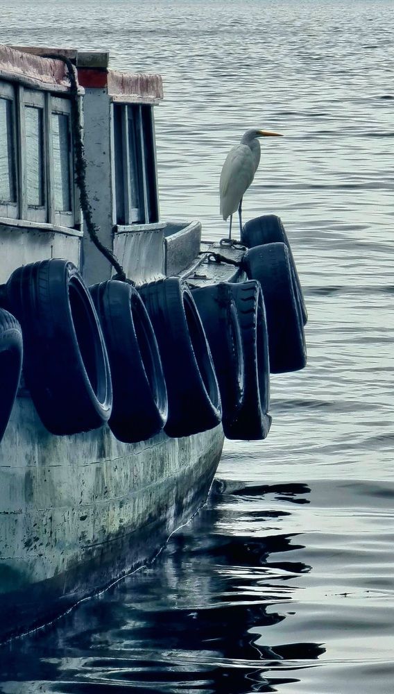 Photograph by Marie G