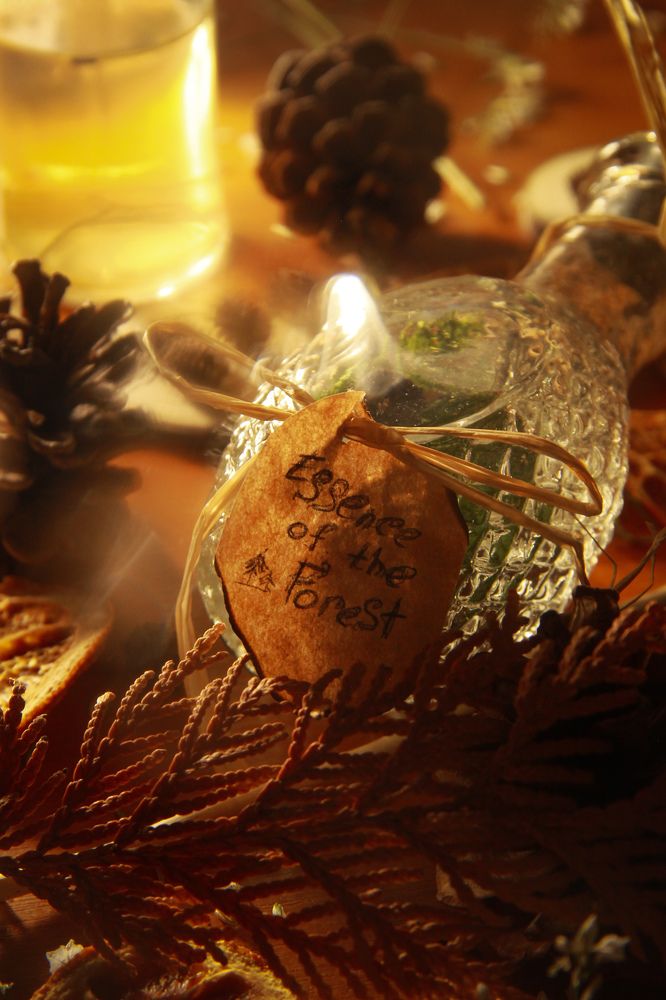 Photograph by Элина Абакумова