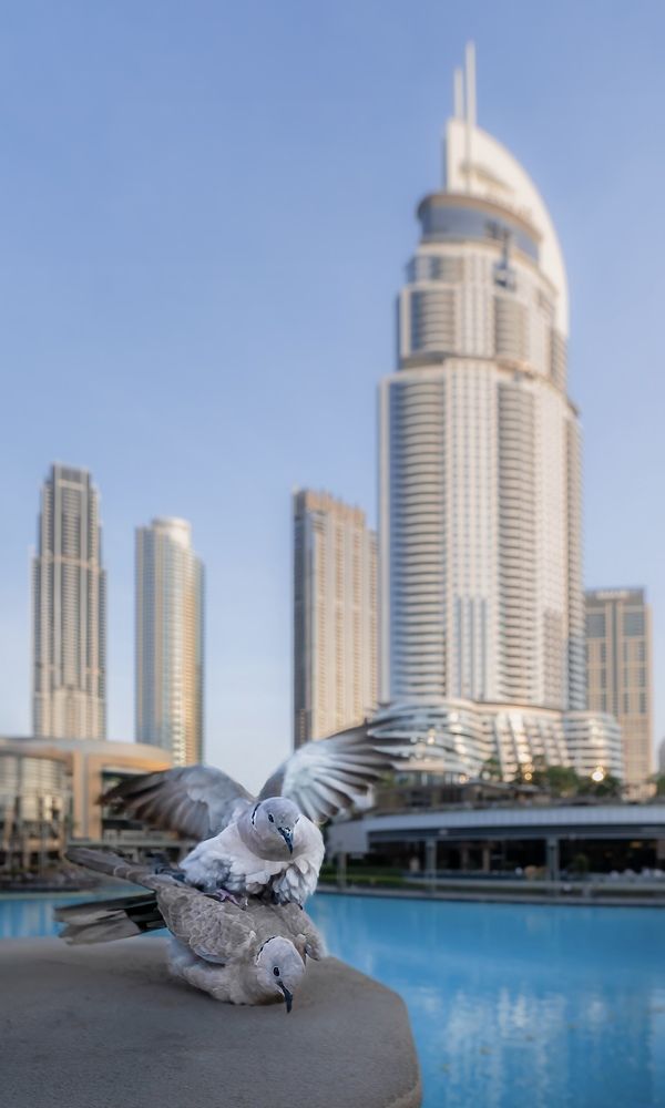 Photograph by Jayakumar MN