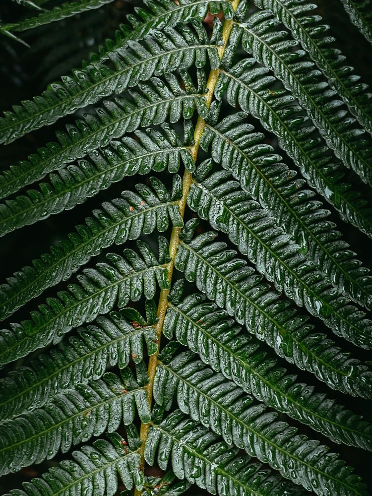 Photograph by Milosz Kosicki