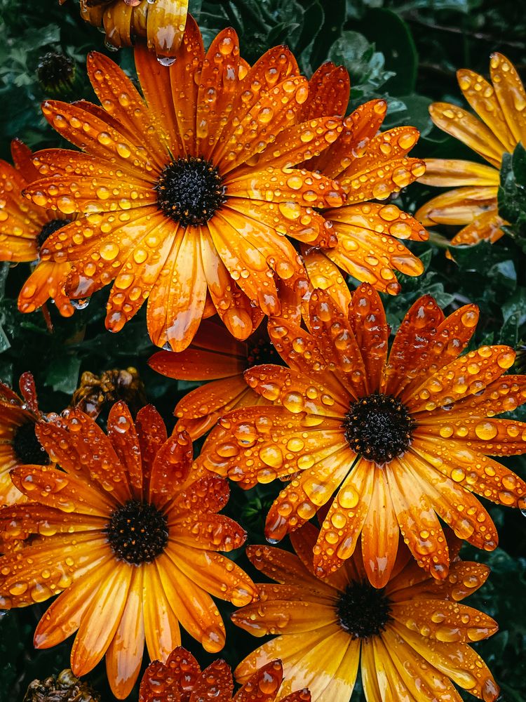 Photograph by Milosz Kosicki