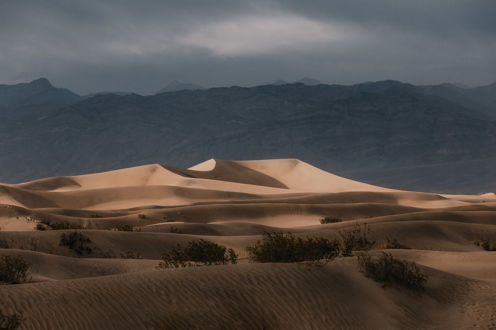 Photograph by Milosz Kosicki