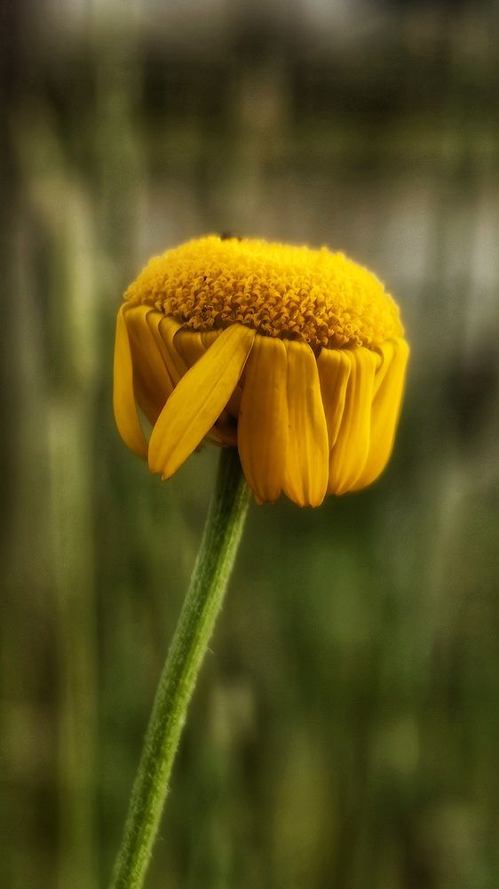 Photograph by Анна Казакова