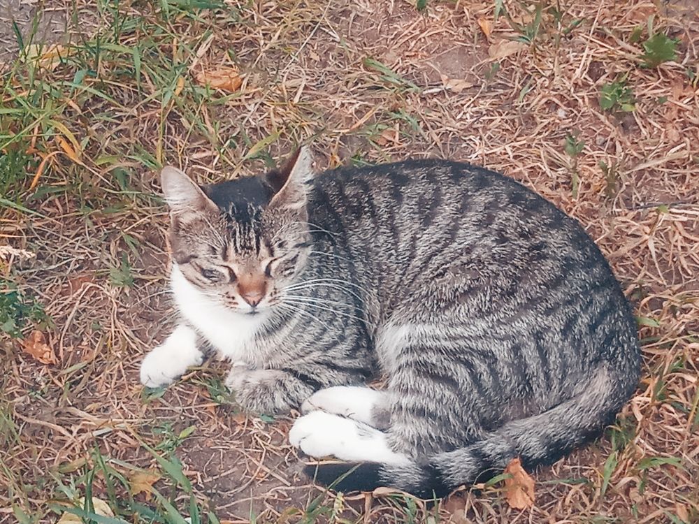 Photograph by Наталия Колемасова