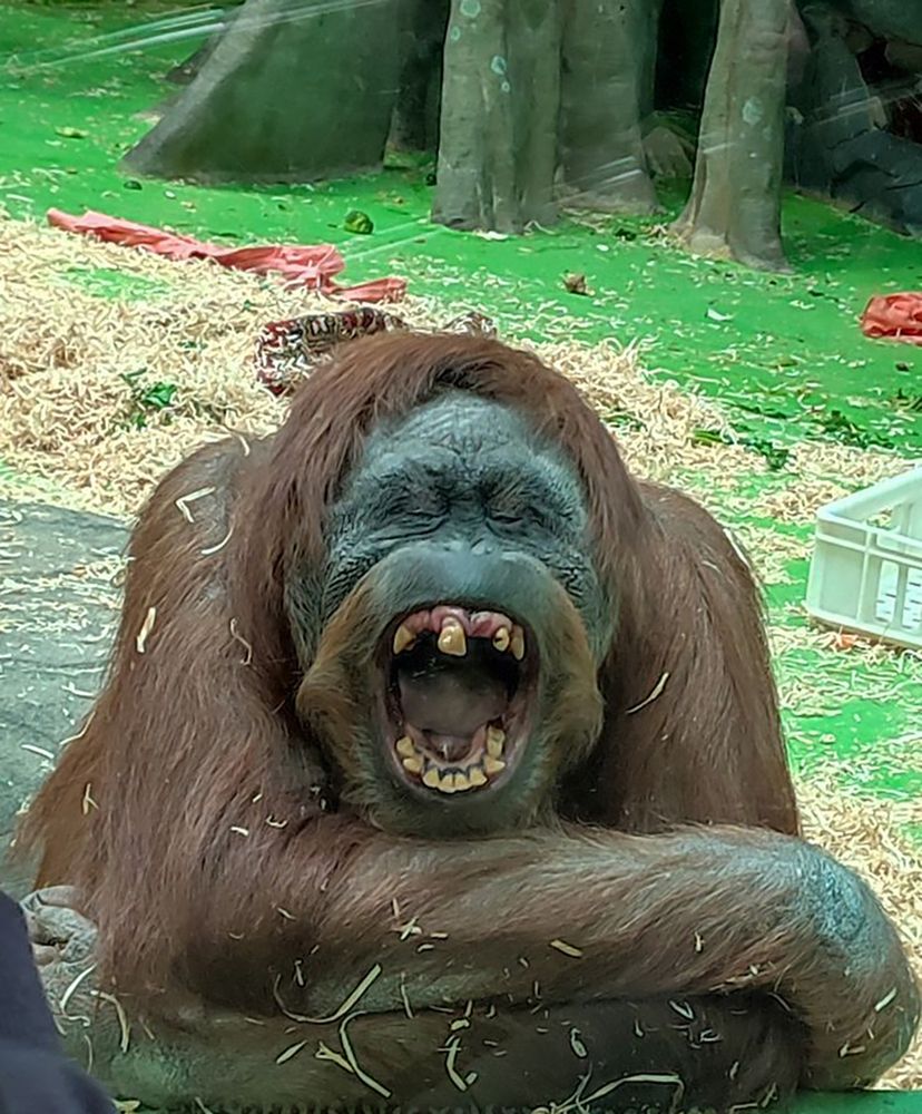 Photograph by Милена Полтавец