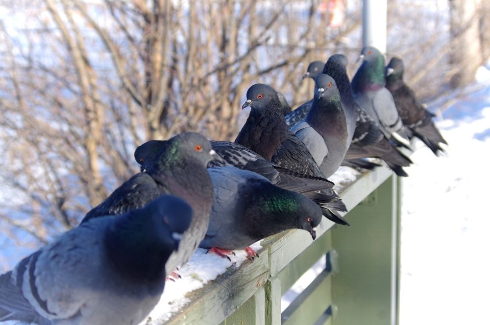 Photograph by Светлана Герасимчук