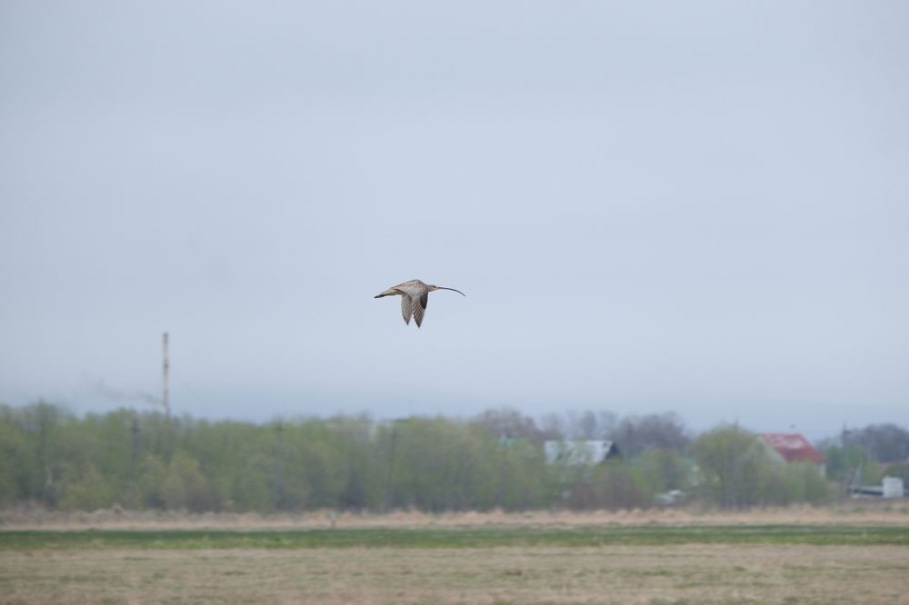 Photograph by Яна Бойко