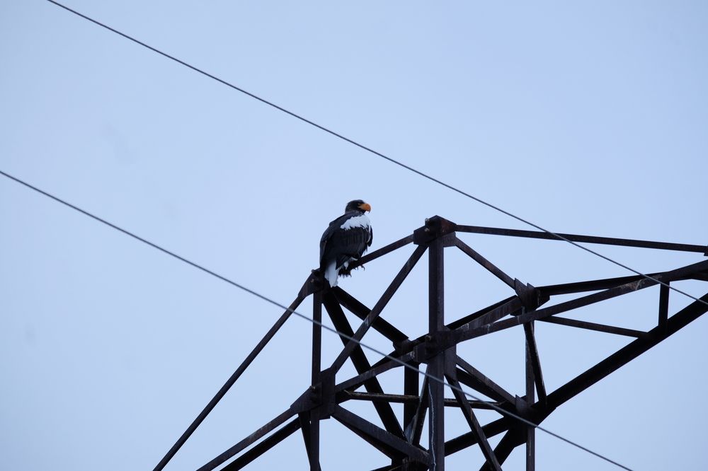 Photograph by Яна Бойко