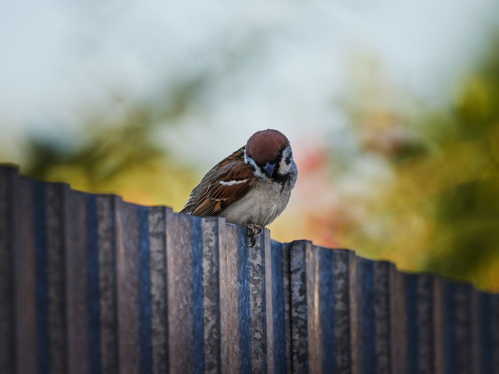 Фотография автора Кожанов Нуржан