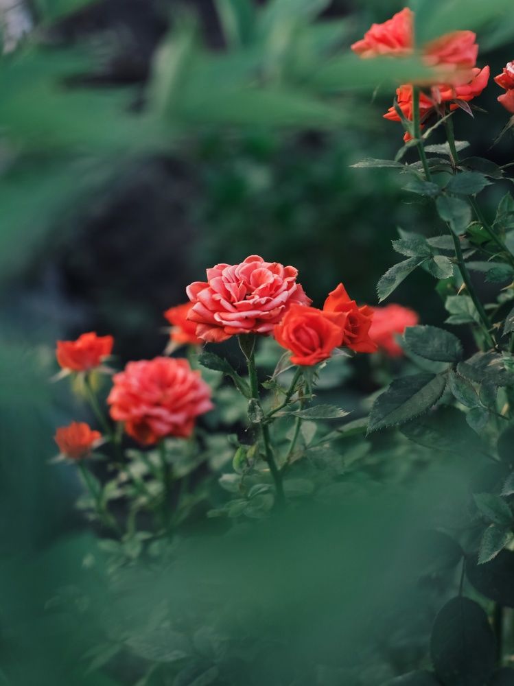 Photograph by Anastasiya Danilova