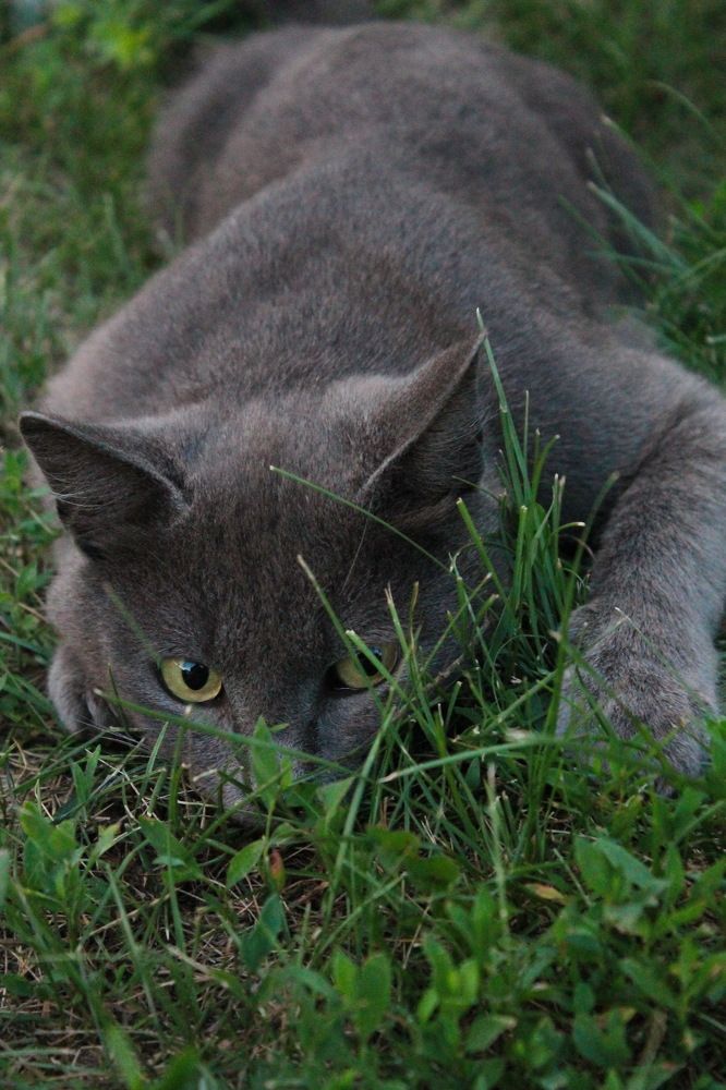 Photograph by Любовь Лунина