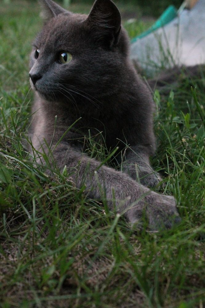 Photograph by Любовь Лунина