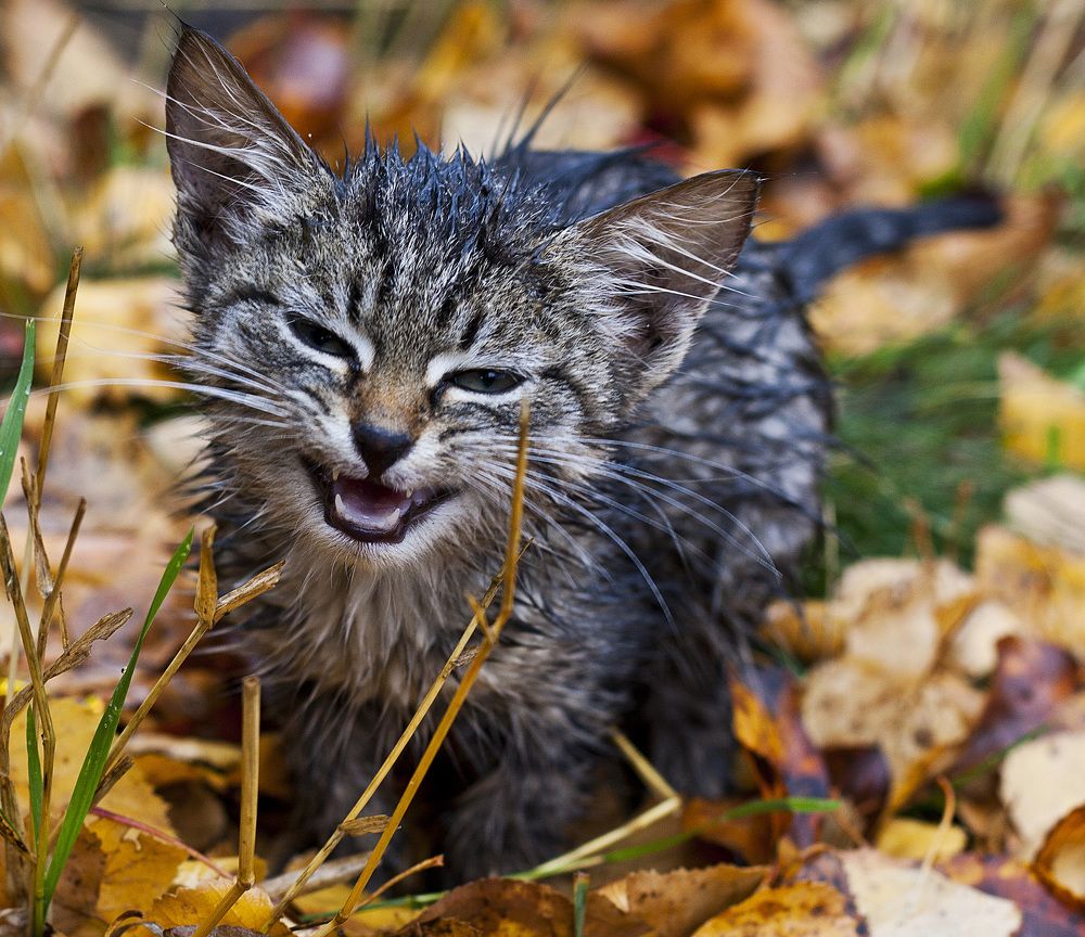 Photograph by Алексей Черников